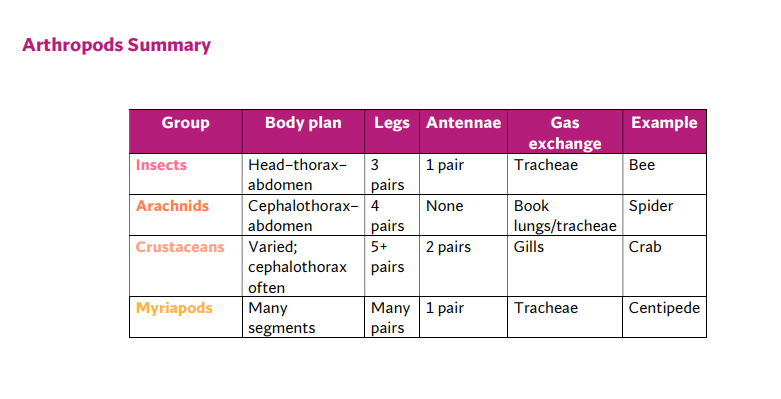 Classifications Summary Sheet O'Level
