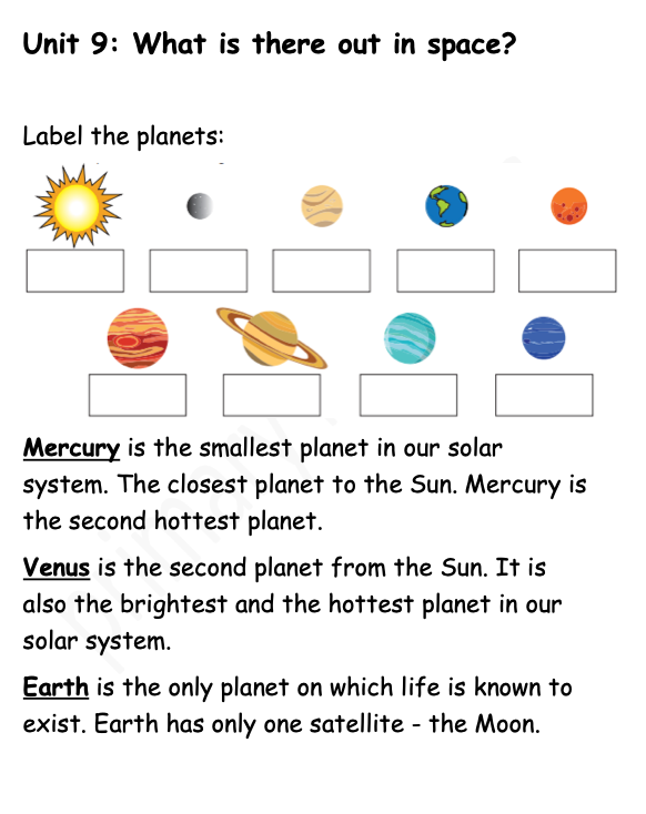 Science Notes + Exercises year 4
