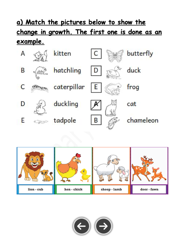Science Notes + Exercises