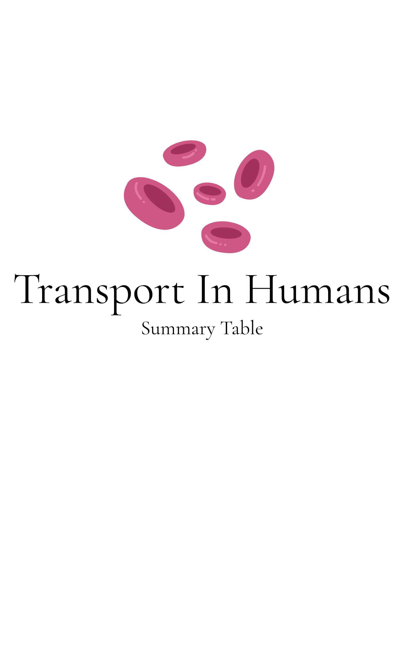 Transport in Humans Summary Sheet O'Level