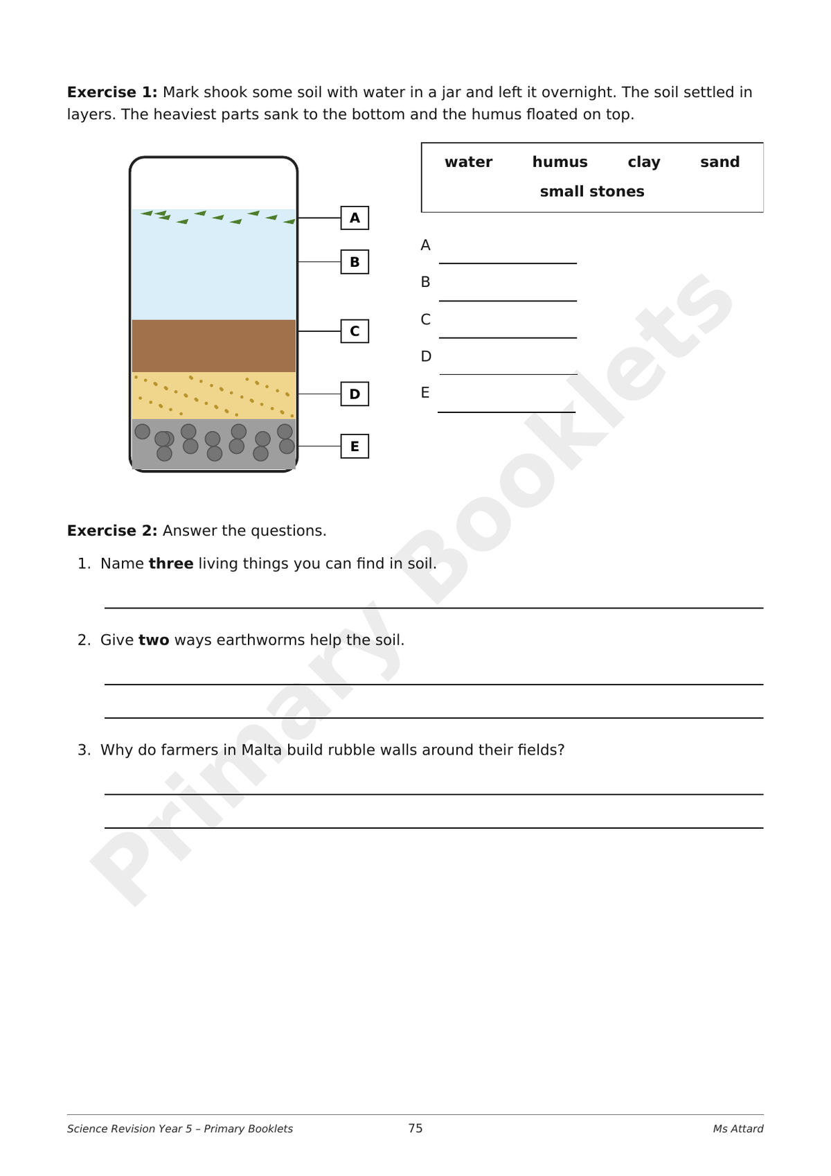 Science Notes & Exercises | Year 5