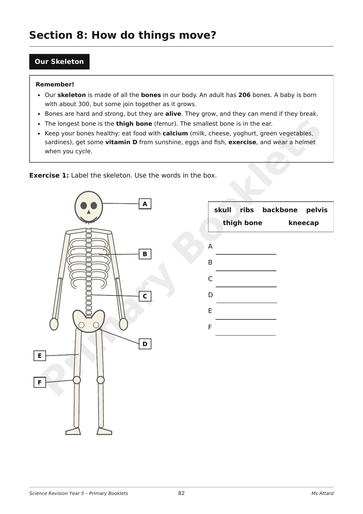 Science Notes & Exercises | Year 5