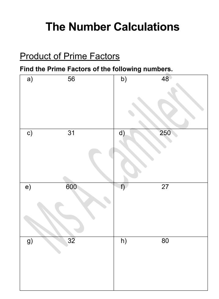 Mathematics Practice Exercises year 10 (2-3)