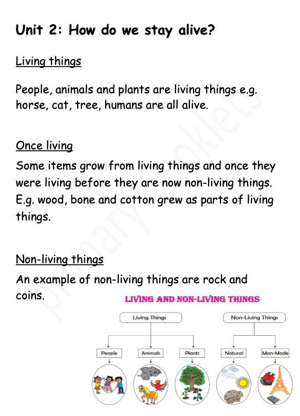 Science Notes + Exercises year 4