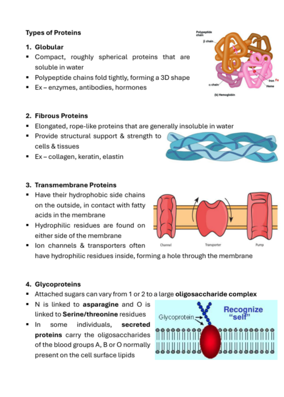 Medicine Notes Cell Biology & Biochemistry | MDS1038