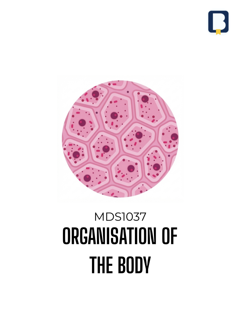 Medicine Notes Organisation of the Body | MDS1037