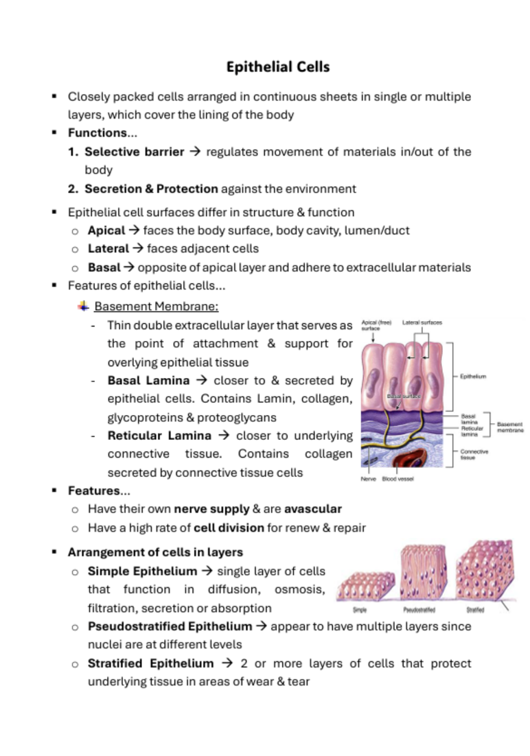 Medicine Notes Organisation of the Body | MDS1037