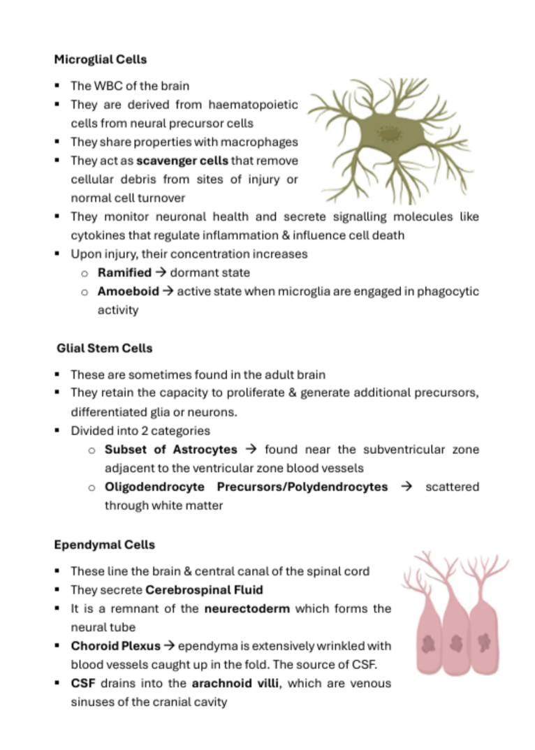 Medicine Notes Organisation of the Body | MDS1037