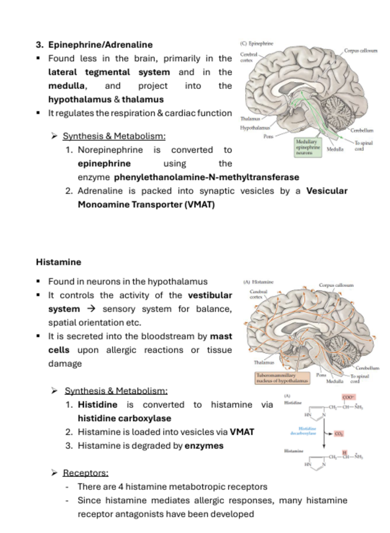 Medicine Notes Organisation of the Body | MDS1037