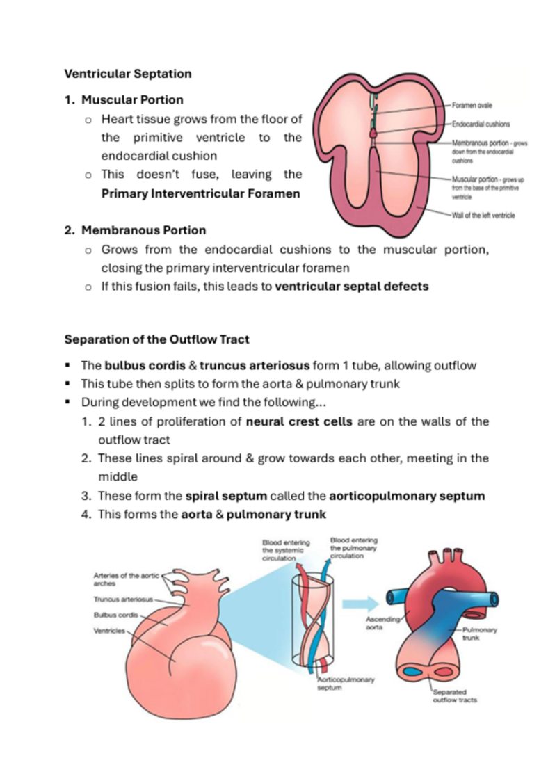 Medicine Notes Cardiovascular System | MDS1032