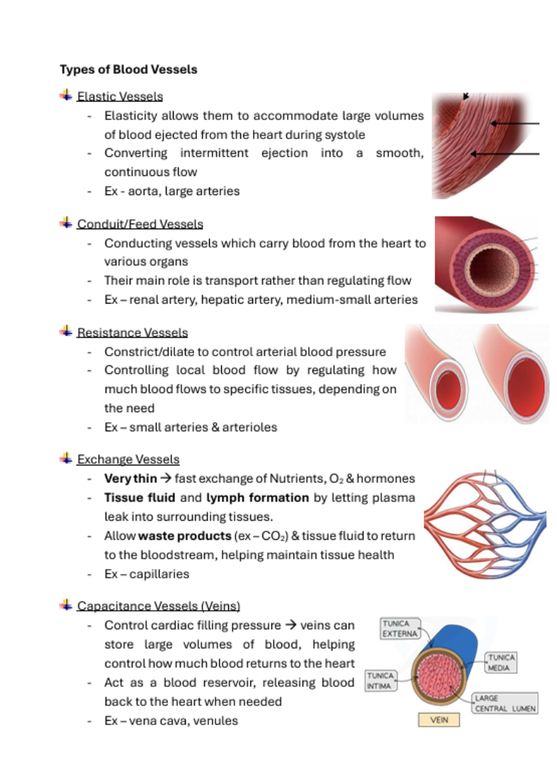 Medicine Notes Cardiovascular System | MDS1032