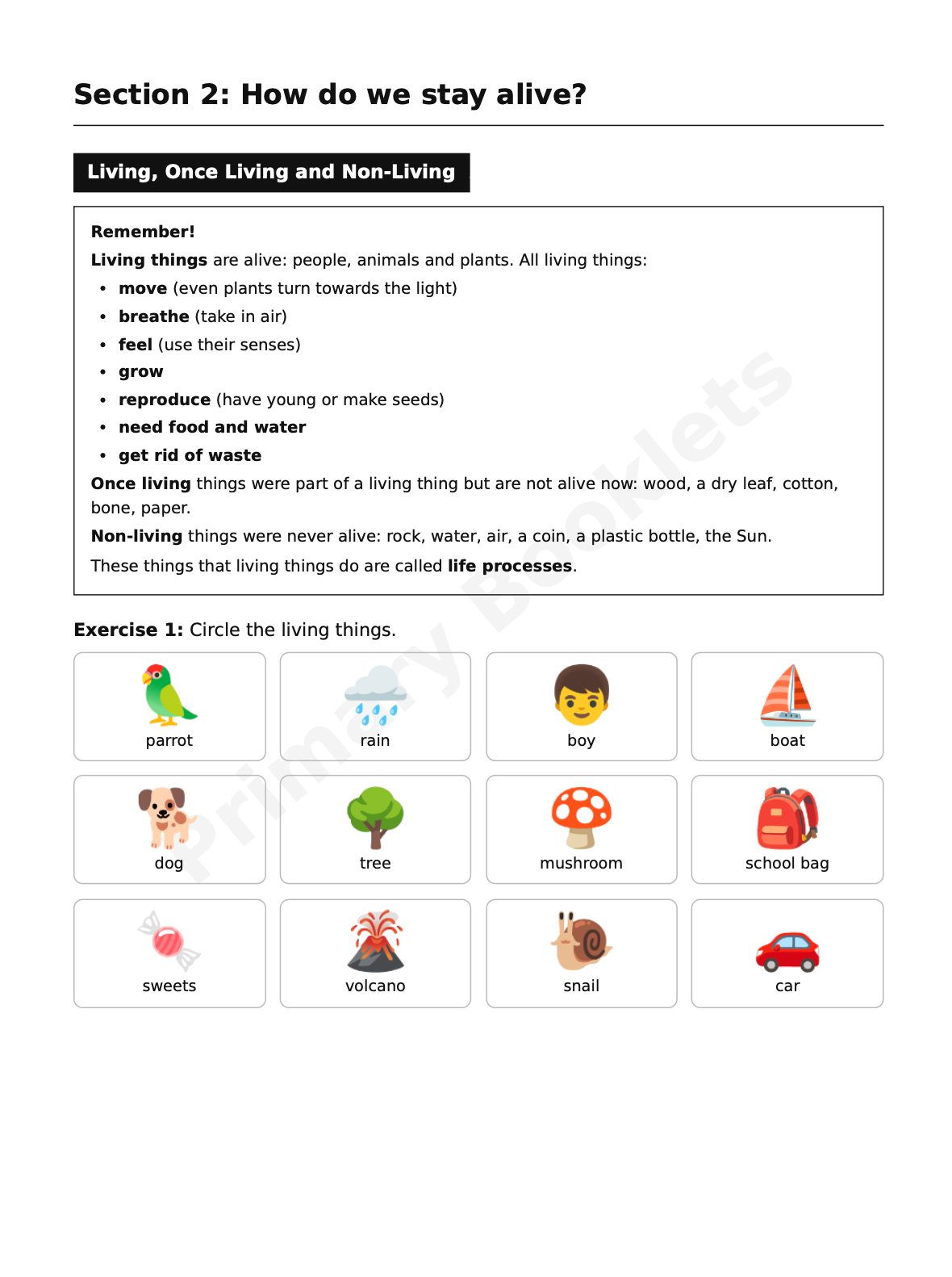 Science Notes & Exercises | Year 4