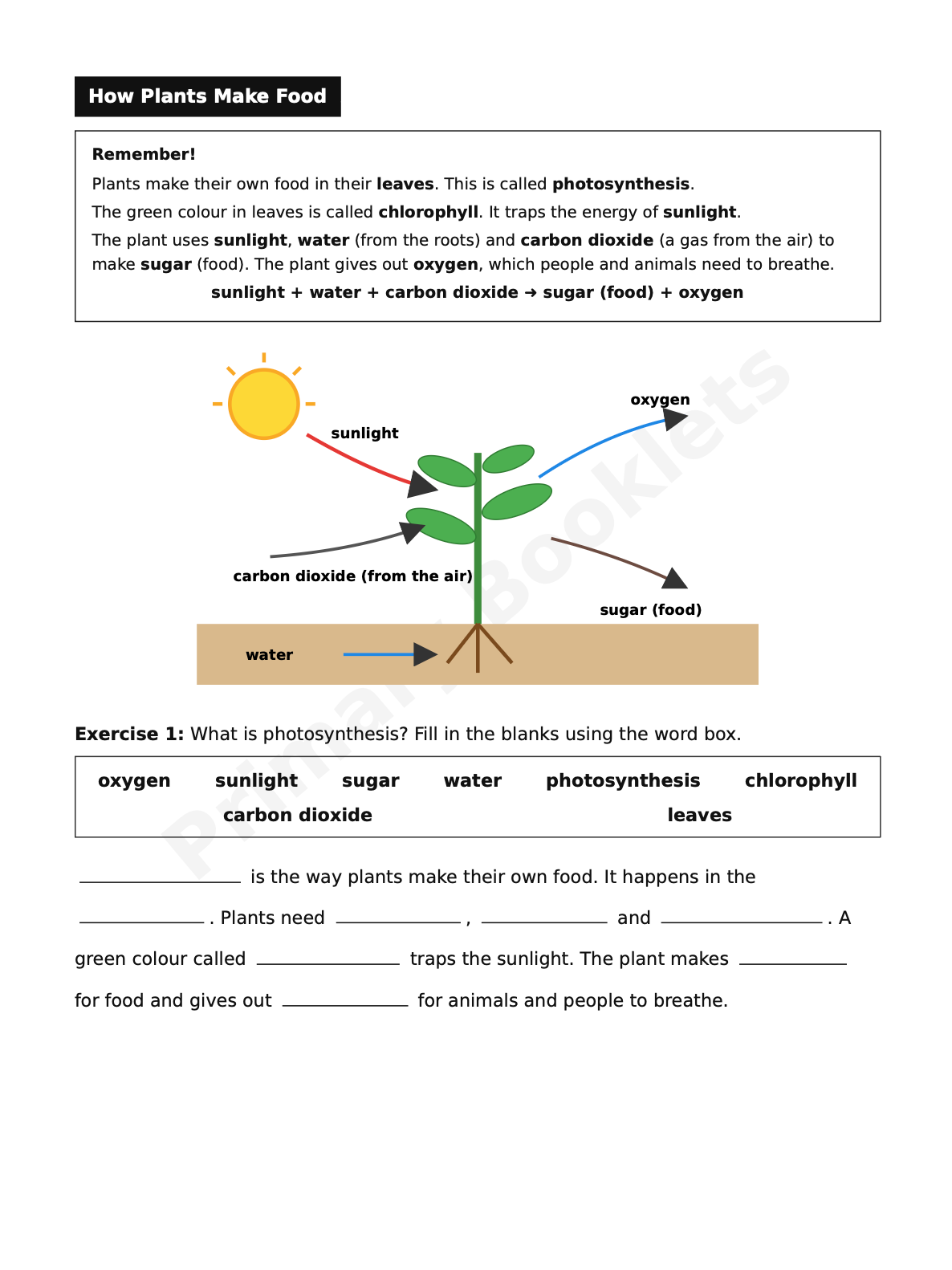 Science Notes & Exercises | Year 4