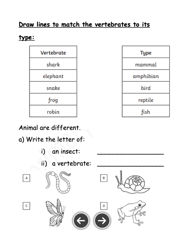 Science Notes + Exercises