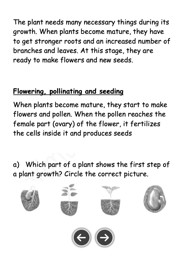 Science Notes + Exercises