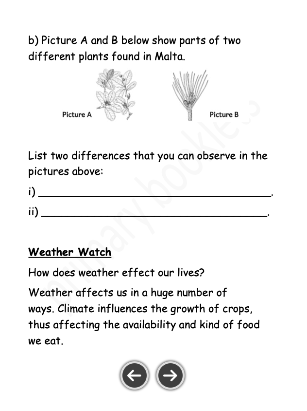 Science Notes + Exercises