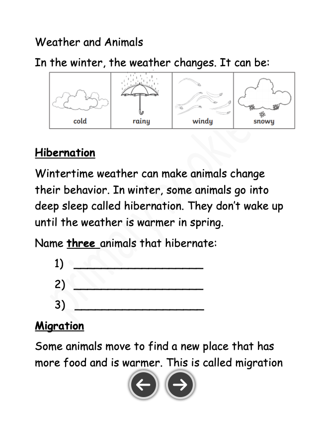 Science Notes + Exercises