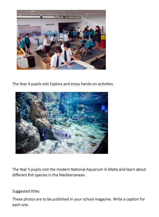 English Creative Writing year 4-6