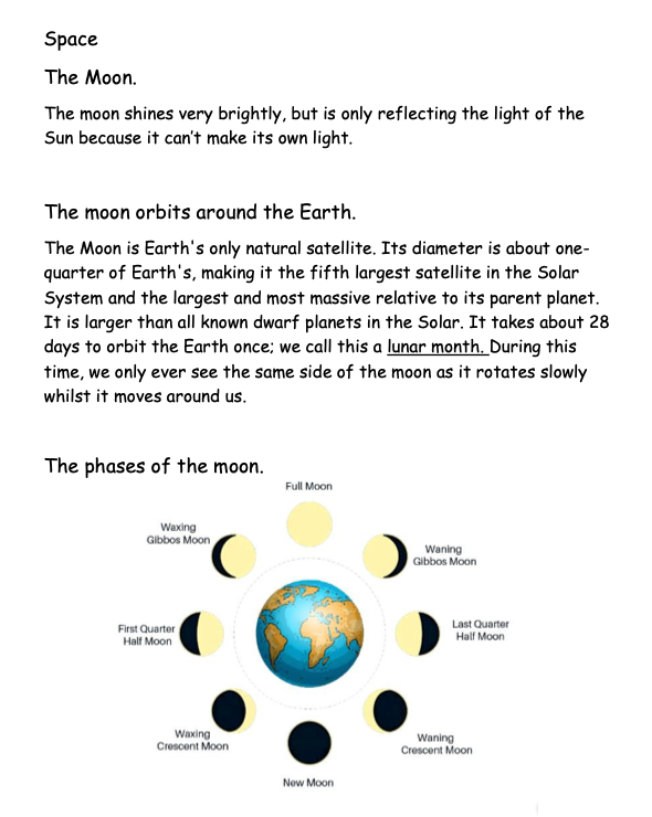 Science Notes + Exercises year 6